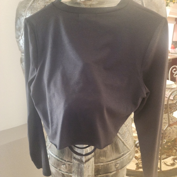 Absolutely Love it Crop Top Distressed - Picture 1 of 3